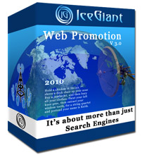 IceGiant Web Promotion