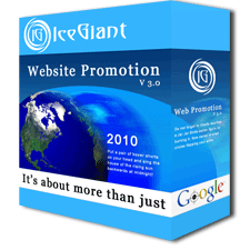 IceGiant's Web Promotion Services
