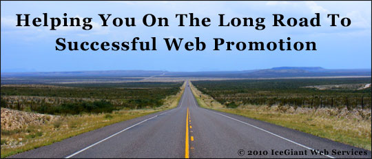 Text: Helping touy on the log road to web promotion success
