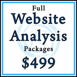 Text: Full Website Analysis Packages $399
